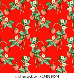 Vector - strawberry fruits with levaes and blooms, floral seamless pattern.