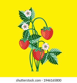 Vector - strawberry fruits with levaes and blooms, floral pattern.