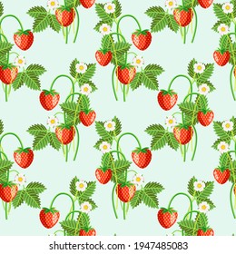 Vector - strawberry fruits with levaes and blooms, floral seamless pattern.