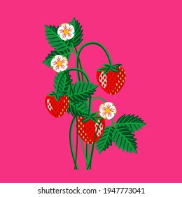 Vector - strawberry fruits with levaes and blooms, floral pattern.
