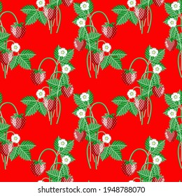 Vector - strawberry fruits with levaes and blooms, floral seamless pattern.