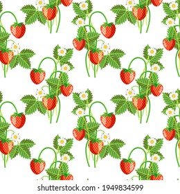 Vector - strawberry fruits with levaes and blooms, floral seamless pattern.
