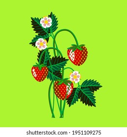 Vector - strawberry fruits with levaes and blooms, floral pattern.
