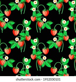 Vector - strawberry fruits with levaes and blooms, floral seamless pattern.