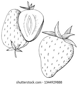 Vector Strawberry healthy food. Black and white engraved ink art. Fresh fruit for background, texture, wrapper pattern or menu. Isolated berry illustration element on white background.