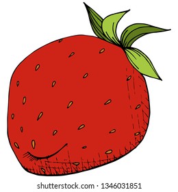 Vector Strawberry healthy food. Red and green engraved ink art. Fresh fruit for background, texture, wrapper pattern or menu. Isolated berry illustration element on white background.