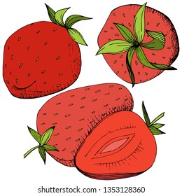 Vector Strawberry healthy food. Red and green engraved ink art. Fresh fruit for background, texture, wrapper pattern or menu. Isolated berry illustration element on white background.