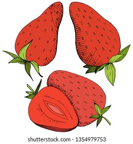 Vector Strawberry healthy food. Red and green engraved ink art. Fresh fruit for background, texture, wrapper pattern or menu. Isolated berry illustration element on white background.