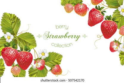 Vector strawberry horizontal banner. Design for tea, natural cosmetics, beauty store, pastry filled with berry, dessert menu, organic health care products, perfume, aromatherapy. With place for text