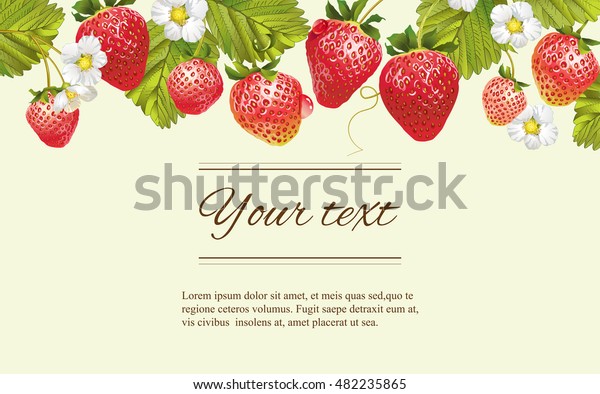 Vector Strawberry Horizontal Banner Design Tea Stock Vector