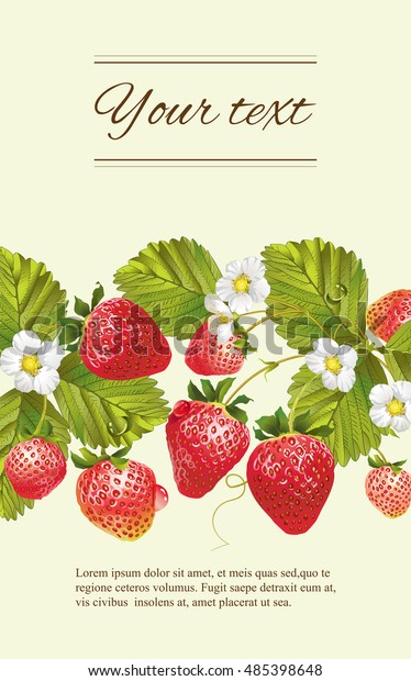 Vector Strawberry Horizontal Banner Design Tea Stock Vector
