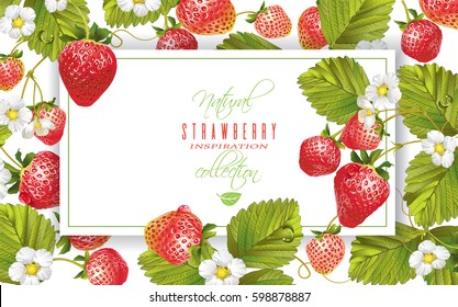 Vector strawberry horizontal banner on white background. Design for fruit tea, sweets and pastry filled with berry, dessert menu, health care products, perfume, aromatherapy. With place for text