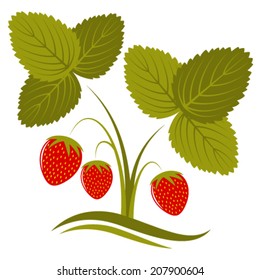 vector strawberry isolated on white background