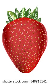 Vector strawberry isolated on white background. Raw fruits
