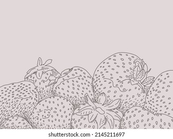 Vector strawberry line art horizontal banner on white background. Design menus, tea, sweets, yogurts and confectionery filled with berries. With space for text.

