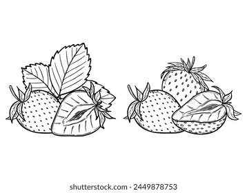 Vector strawberry line art illustration set with berries, leaves and flowers, hand drawn botanical outline drawing, monochrome sketch. Design elements for coloring book, background, pattern, packaging