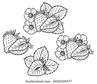 Vector strawberry line art illustration set with berries, leaves and flowers, hand drawn botanical outline drawing, monochrome sketch. Design elements for coloring book, background, pattern, packaging