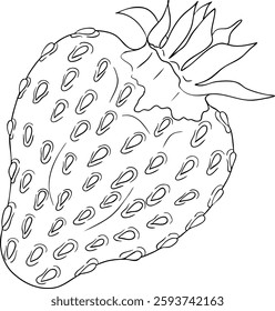 Vector strawberry line art illustrations set, hand drawn botanical outline drawing. Summer fruit monochrome sketch. Isolated design elements for coloring books, background, pattern, packaging, logo.