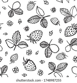 Vector strawberry pattern. Graphic modern line art repeating design. Hand drawn black berry fruit pattern with leaf and blossom on white background. Hand drawn doodle backdrop.