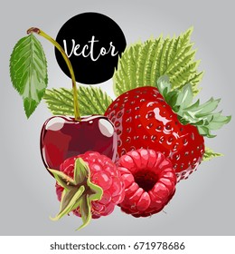 Vector Strawberry, Raspberry And Cherry Illustration