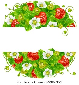 Vector strawberry round frame. Circle composition of ripe red berries
