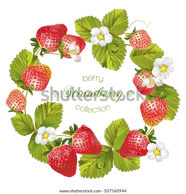 Vector Strawberry Round Frame Design Tea Stock Vector Royalty Free