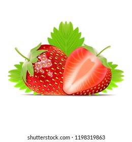 vector strawberry with strawberry slice on leafs background