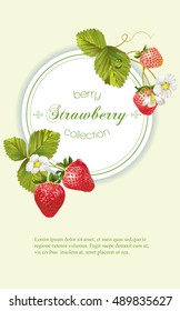 Vector strawberry vertical banner. Design for tea, natural cosmetics, beauty store, dessert menu, organic health care products, perfume, aromatherapy. With place for text