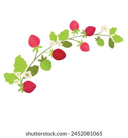 Vector strawberry vine hand drawn illustration.