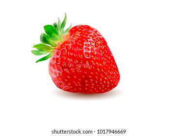 Vector strawberry.Ripe strawberry isolated on white.