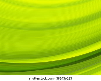 Vector striped lines. EPS10 with transparency. Abstract composition with curve lines. Striped lines for ecology theme background. Abstract leaf, macro. 