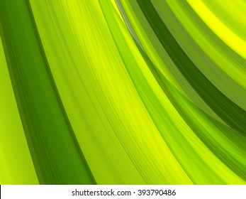 Vector striped lines. EPS10 with transparency. Abstract composition with curve lines. Striped lines for ecology theme background. Abstract leaf, macro. 