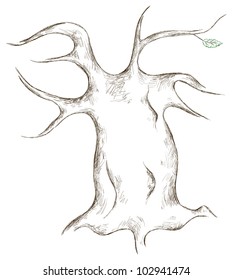 Vector stroke crooked tree on a white background