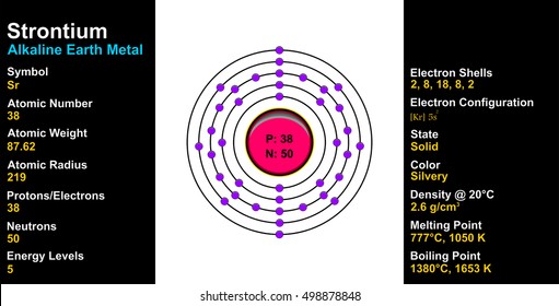 Vector - Strontium Atom