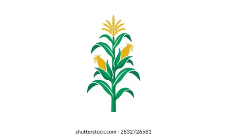 A vector style graphic of a corn stalk featuring detailed green leaves and vibrant yellow corn ears isolated on a white background