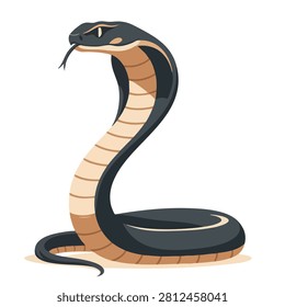 A vector style illustration