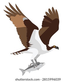 A vector style illustration featuring an osprey raptor in flight carrying a caught fish in its claws against a white background
