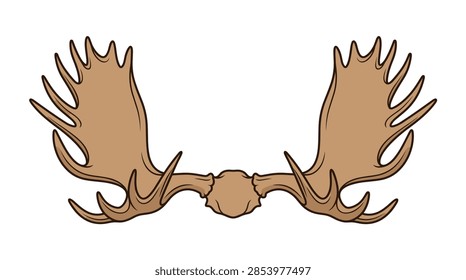 A vector style illustration of a large set of moose (Alces alces) antlers, featuring a wide palmate structure with multiple tines, attached to a central skull plate, isolated on a plain white background.