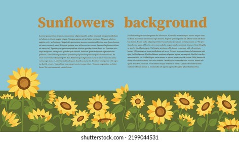 Vector style illustration. Sunflowers. Sunflower field. Banner. 