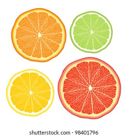 Vector stylised orange, lemon, grapefruit, lime on white backgro