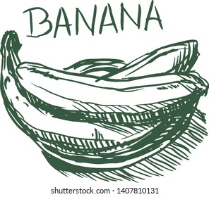 Vector stylish bananas commercial illustration