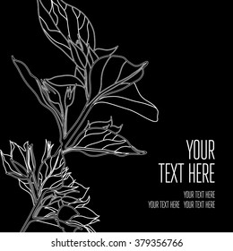 Vector stylish black floral background - design elements can be used for invitation, greeting cards