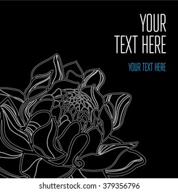 Vector stylish black floral background - design elements can be used for invitation, greeting cards