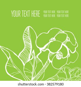 Vector stylish floral background - design elements can be used for invitation, greeting cards
