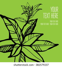 Vector stylish floral background - design elements can be used for invitation, greeting cards
