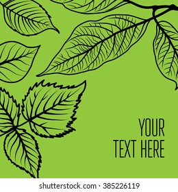 Vector stylish floral background - design elements can be used for invitation, greeting cards