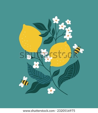 Vector stylish lemon branch isolated. Fruit card design. Blooming Lemon backround. Hand-drawn citrus fruit  illustration. Lemons, flowers and bees.
