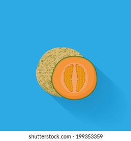 Vector Stylish Melon Isolated On Blue Background