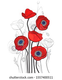 Vector stylish poppies on white background