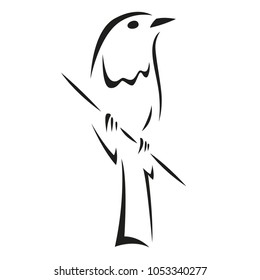 vector stylized bird